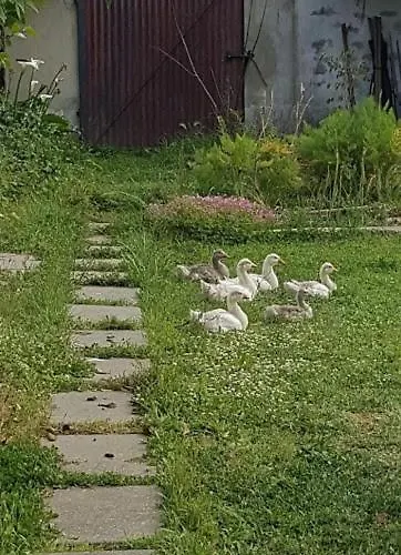 Pansiyon Granja Mg Bombarral